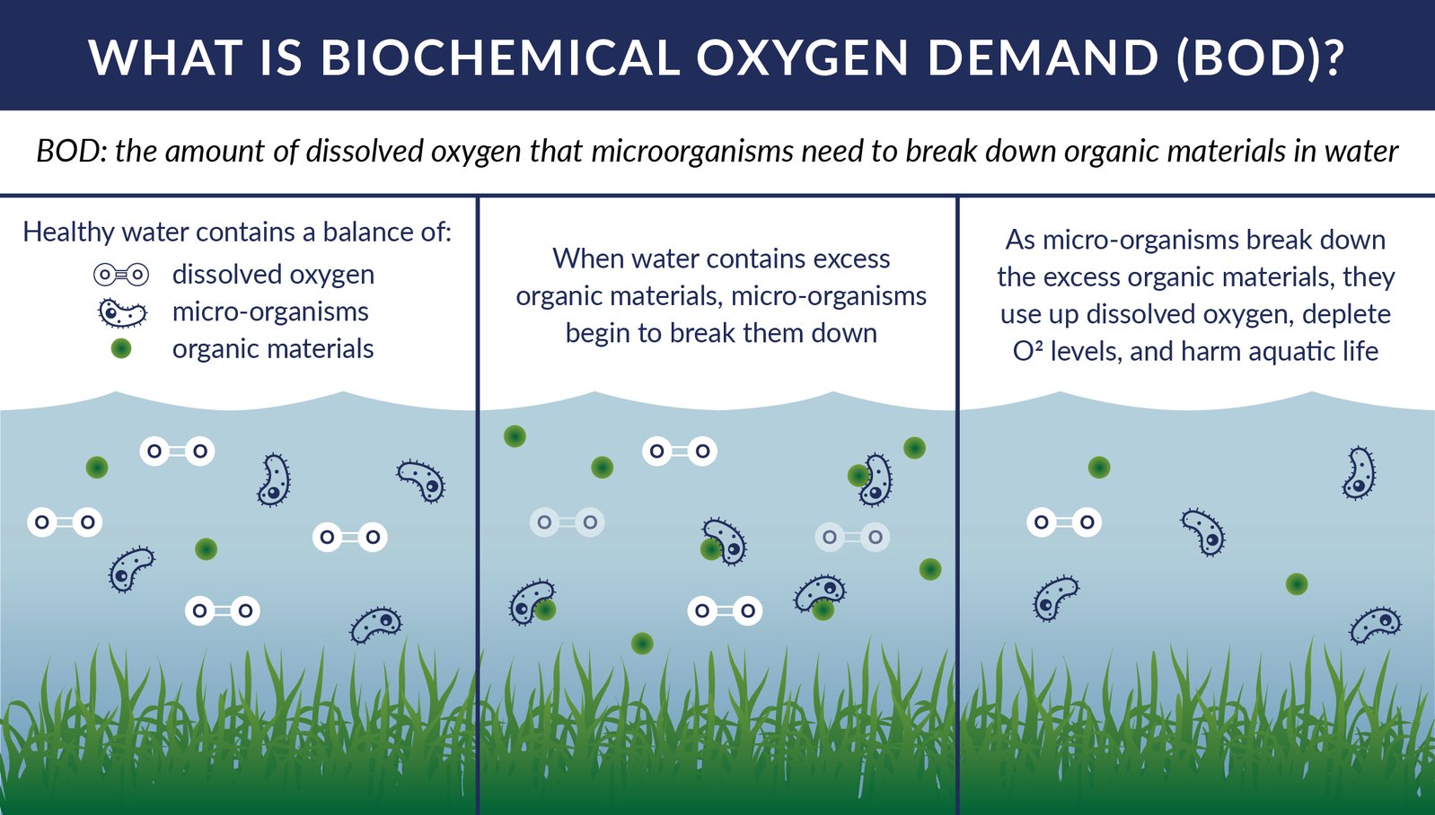 Increase O2 Consumption How Do Deicers Affect Biochemical Oxygen Demand?